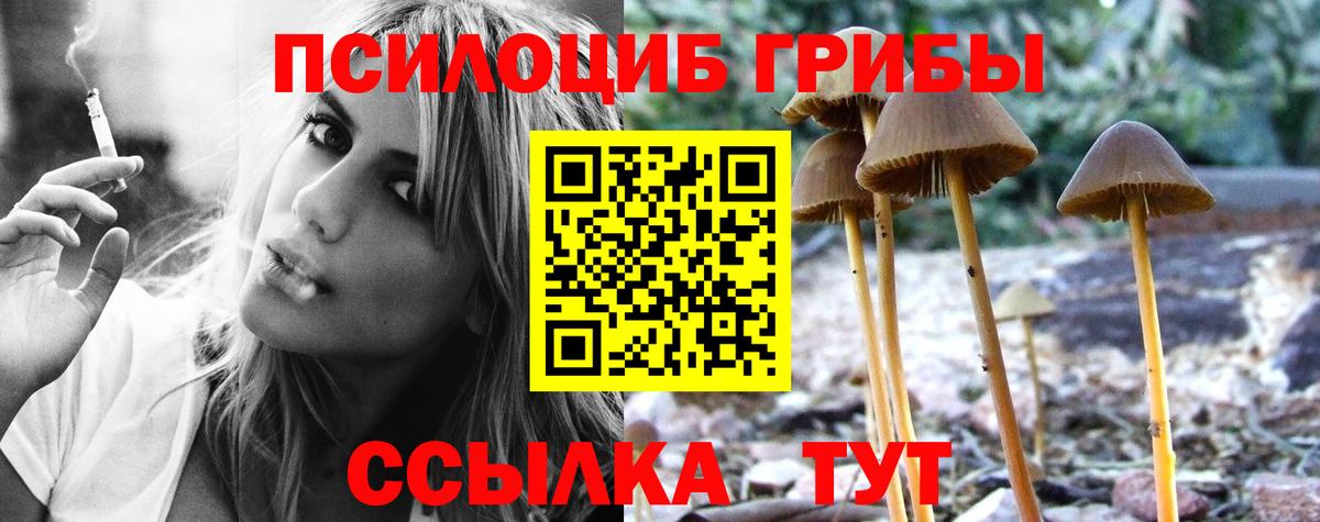 Галлюциногенные грибы ЛСД  Вход с VPN  Галлюциногенные грибы Magic Shrooms  Гатчина 
